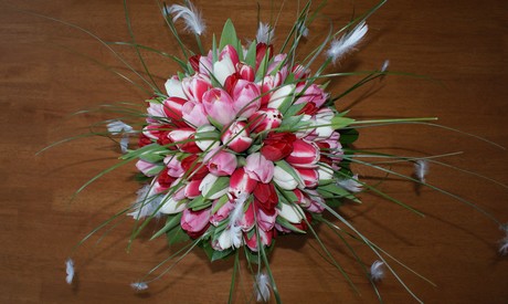 tulipny